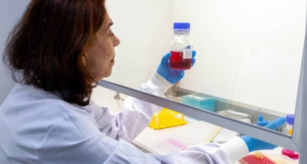 Butantan desenvolve anticorpo para proteger grávidas contra o vírus Zika