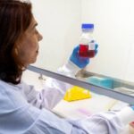 Butantan desenvolve anticorpo para proteger grávidas contra o vírus Zika