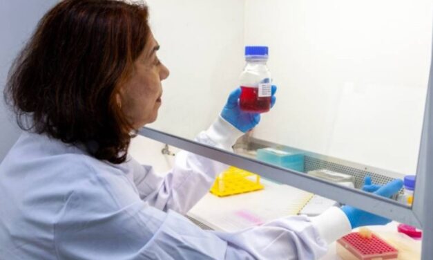 Butantan desenvolve anticorpo para proteger grávidas contra o vírus Zika