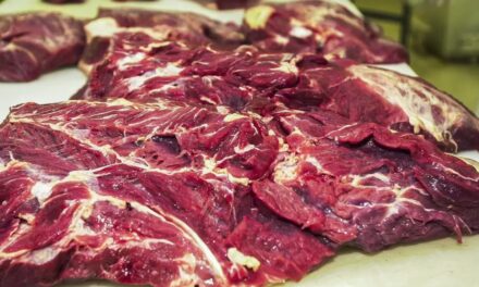 Brasil assina acordo com Indonésia para exportação de carne bovina