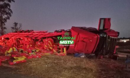 Carreta carregada com ração tomba na BR-354 e interdita trecho próximo a Santa Rosa da Serra