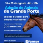 Prefeitura de Formiga abre cadastro para adoção responsável de animais de grande porte
