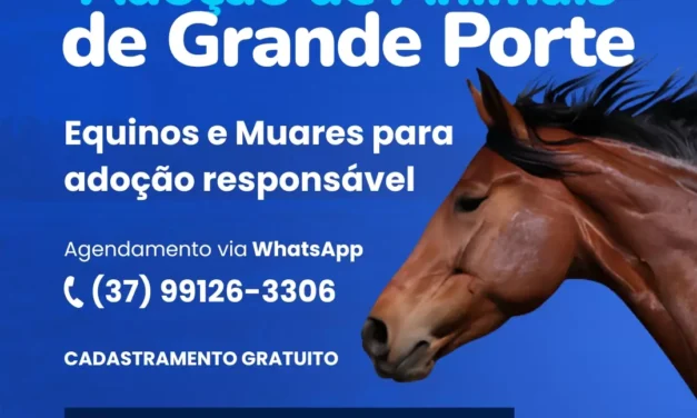 Prefeitura de Formiga abre cadastro para adoção responsável de animais de grande porte