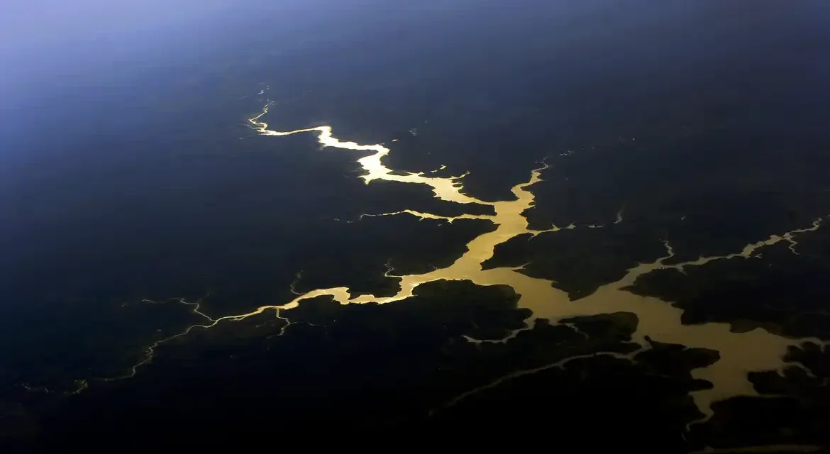 Brasil e França reforçam cooperação científica pela Amazônia em seminário internacional