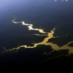 Brasil e França reforçam cooperação científica pela Amazônia em seminário internacional