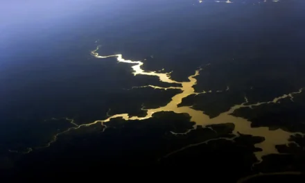 Brasil e França reforçam cooperação científica pela Amazônia em seminário internacional