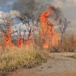 Fogo em vegetação mobiliza bombeiros na BR-354 entre Formiga e Arcos