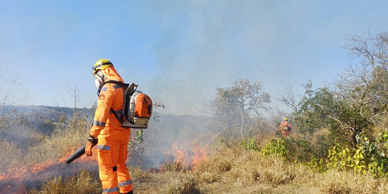 Incêndio alcança bioma cerrado na comunidade Fazenda Velha, em Formiga