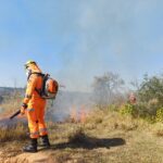 Incêndio alcança bioma cerrado na comunidade Fazenda Velha, em Formiga