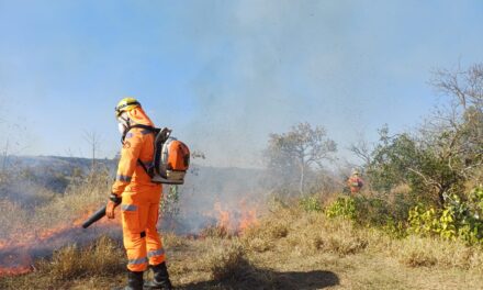 Incêndio alcança bioma cerrado na comunidade Fazenda Velha, em Formiga