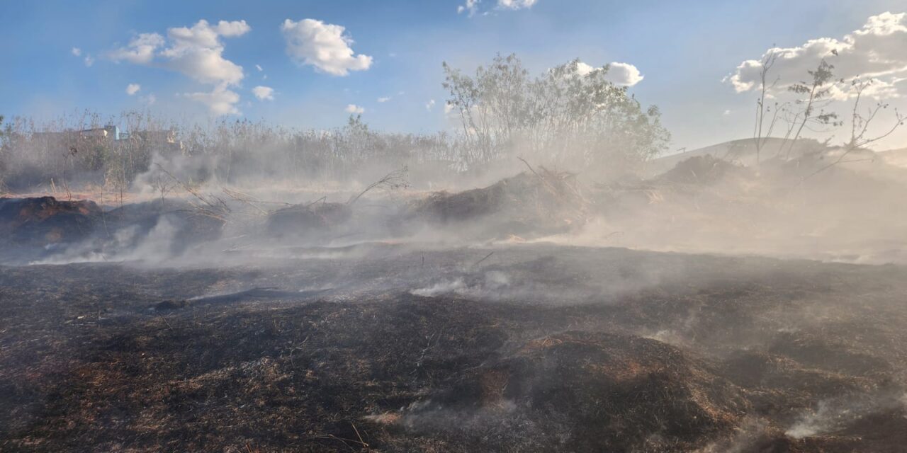 Formiga: fogo em vegetação exige 2 mil litros de água para contenção