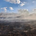 Incêndio em lote vago mobiliza bombeiros em Formiga