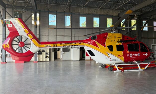 Criança de 3 anos intoxicada por escorpião é transportada de helicóptero em Santa Bárbara-MG