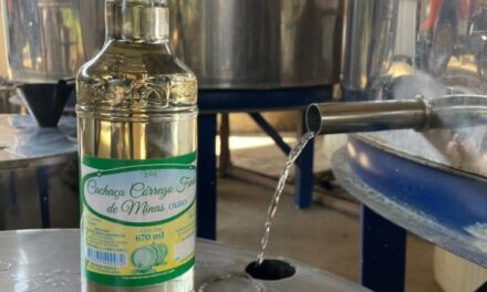 Lei estadual traz otimismo e cautela para produtores de cachaça mineira  
