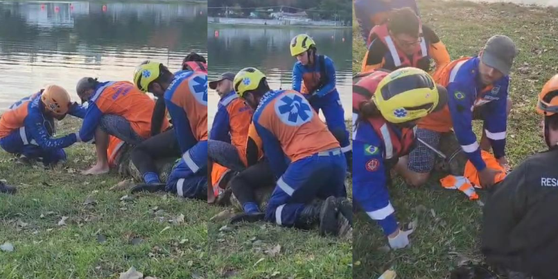 Após três dias de monitoramento, jacaré é resgatado em Lagoa da Grande BH