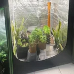 Homem é preso por possuir laboratório de drogas em Divinópolis