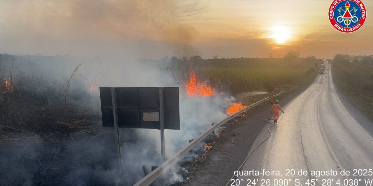 Bombeiros contêm incêndio às margens da BR-354, em Formiga
