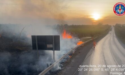 Bombeiros contêm incêndio às margens da BR-354, em Formiga
