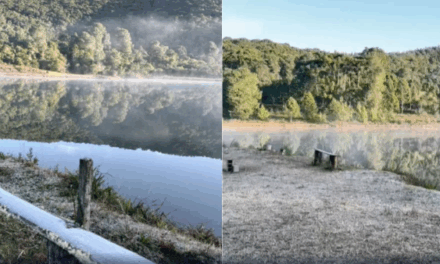 Monte Verde registra -1°C e lidera ranking das cidades mais frias do Brasil