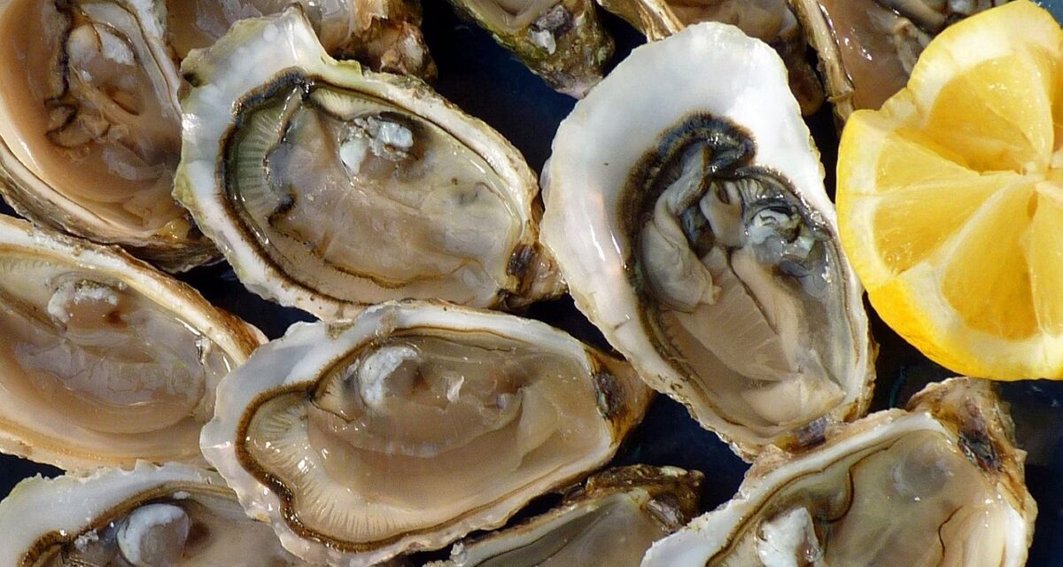 Bactéria comedora de carne causa duas mortes após consumo de ostras cruas nos EUA