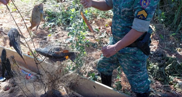 Multa de R$ 40 mil é aplicada em operação contra pesca ilegal em MG
