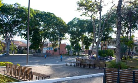Formiga terá 2ª Roda de Conversa sobre Fibromialgia neste sábado