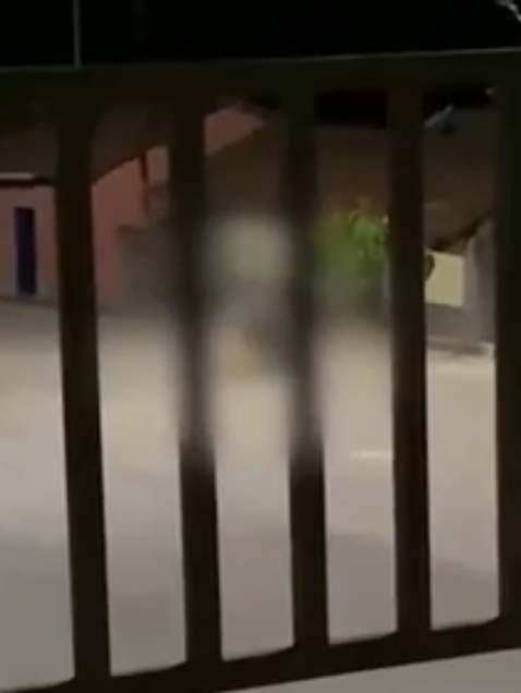 Policia Civil abre investigação contra caso de zoofilia em Itapecerica MG