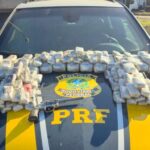 PRF apreende 23 kg de haxixe e arma de fogo em abordagem na BR-262, em Juatuba
