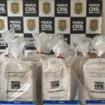 Polícia Civil apreende 301 barras de maconha em sítio usado por organização criminosa em Contagem