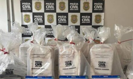 Polícia Civil apreende 301 barras de maconha em sítio usado por organização criminosa em Contagem