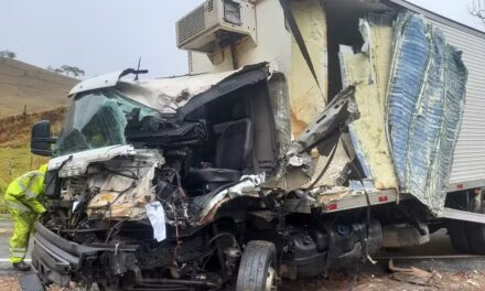 Motorista fica gravemente ferido em acidente na MG-290, em Borda da Mata