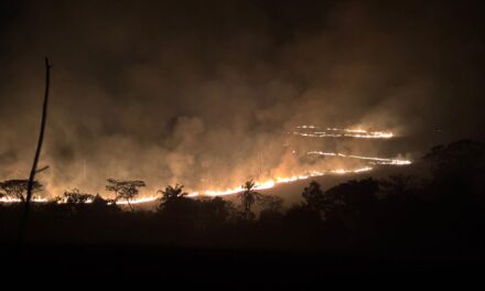 Incêndio de grandes proporções atinge área de pastagem em Campo Belo