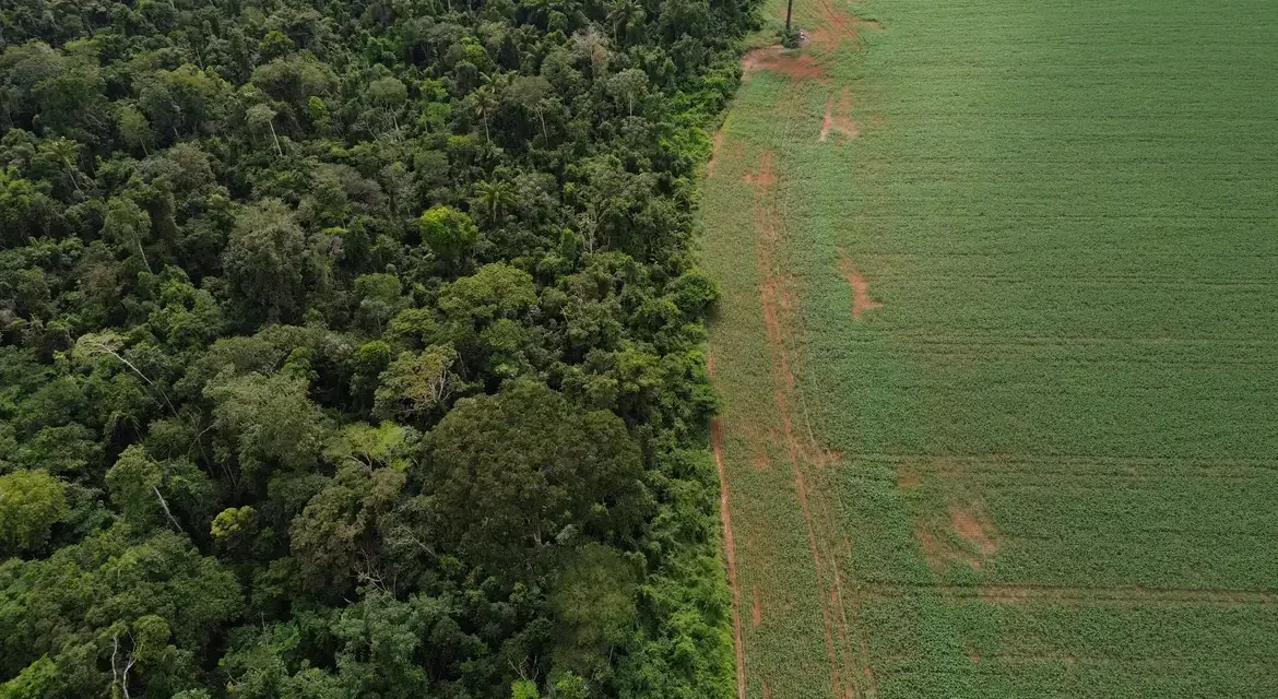 Ibama exige padronização nacional da Autorização de Supressão de Vegetação por estados e DF