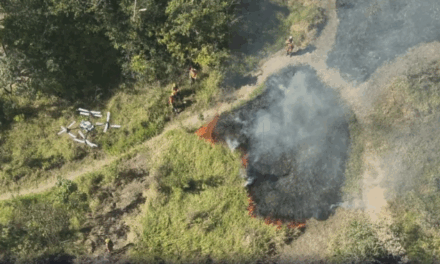 Corpo de Bombeiros de MG estuda uso de drones agrícolas contra incêndios