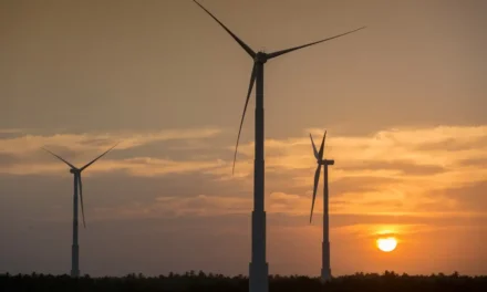 Estudo da Oxfam revela desigualdade na transição energética global