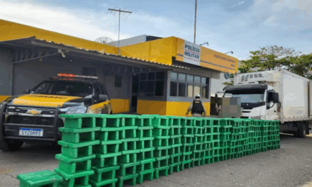 Cinco homens são presos com 850 kg de maconha escondidos em carga de repolho na MG-050