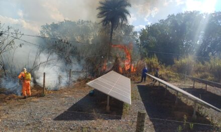 Moradores e forças públicas combatem incêndio em Arcos