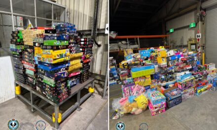 Polícia apreende brinquedos furtados avaliados em quase R$ 1 milhão