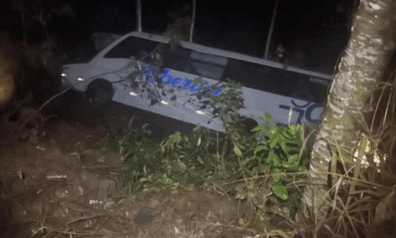 Acidente com ônibus deixa 30 feridos na BR-262 em Minas