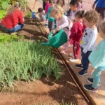 Projeto Semear transforma rotina de crianças em escola de Formiga