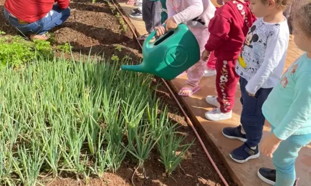 Projeto Semear transforma rotina de crianças em escola de Formiga