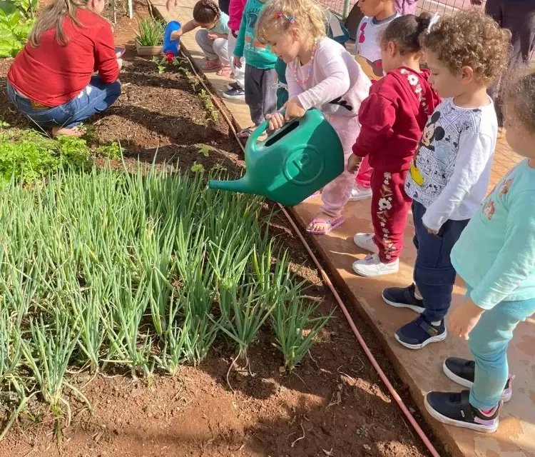 Projeto Semear transforma rotina de crianças em escola de Formiga