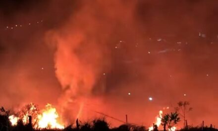 Incêndio atinge área urbana no bairro Engenho de Serra, em Formiga