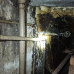 Corpo de Bombeiros realiza captura de abelhas em telhado de residência em Formiga