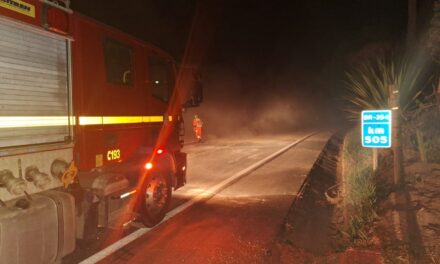 Bombeiros realizam limpeza de pista após tombamento de carreta na BR-354, em Formiga