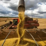 Ministro Paulo Teixeira afirma que queda nos preços dos alimentos deve continuar