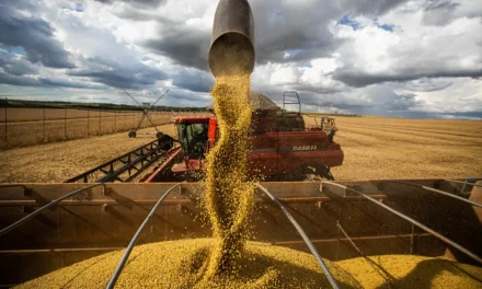 Ministro Paulo Teixeira afirma que queda nos preços dos alimentos deve continuar