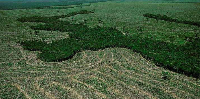 Amazônia perdeu 52 milhões de hectares de vegetação nativa em 40 anos