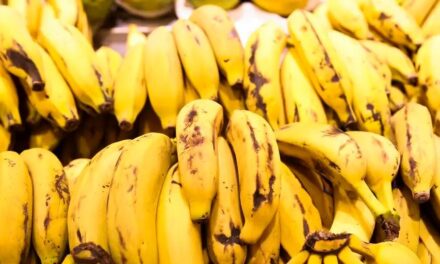 Pesquisa da UFLA desenvolve nanossachê biodegradável que prolonga durabilidade de bananas