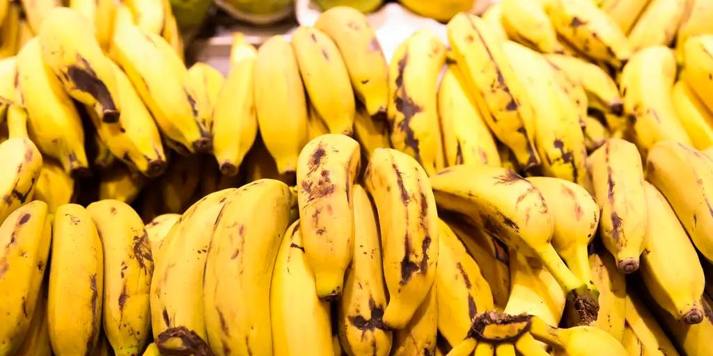 Pesquisa da UFLA desenvolve nanossachê biodegradável que prolonga durabilidade de bananas